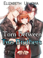 Torn Between Two Brothers Book