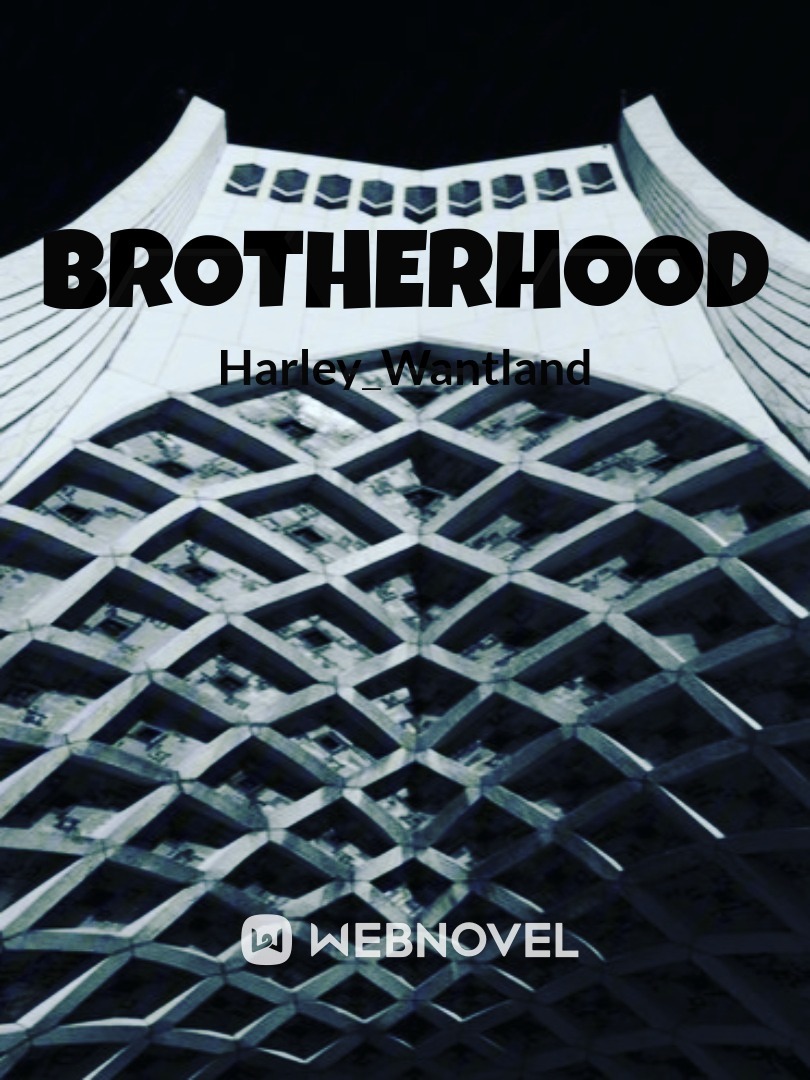 BROTHERHOOD: RISE Book