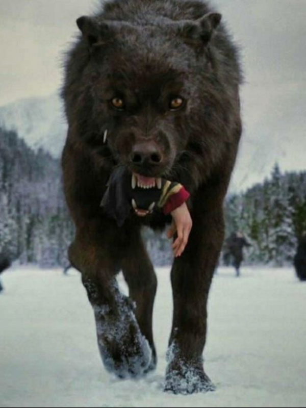 Werewolf In Game Of Thrones