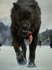 Werewolf In Game Of Thrones Book