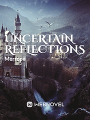 Uncertain Reflections Book