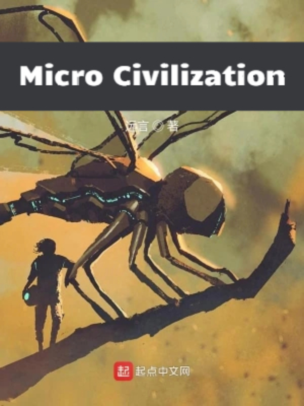 Micro Civilization Book