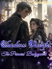 Shadow Knight :The Princess' Bodyguard Book