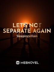 Let's not separate again Book
