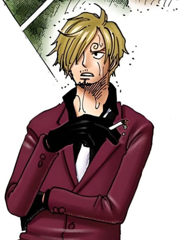 reincarnated as Sanji from one piece Book