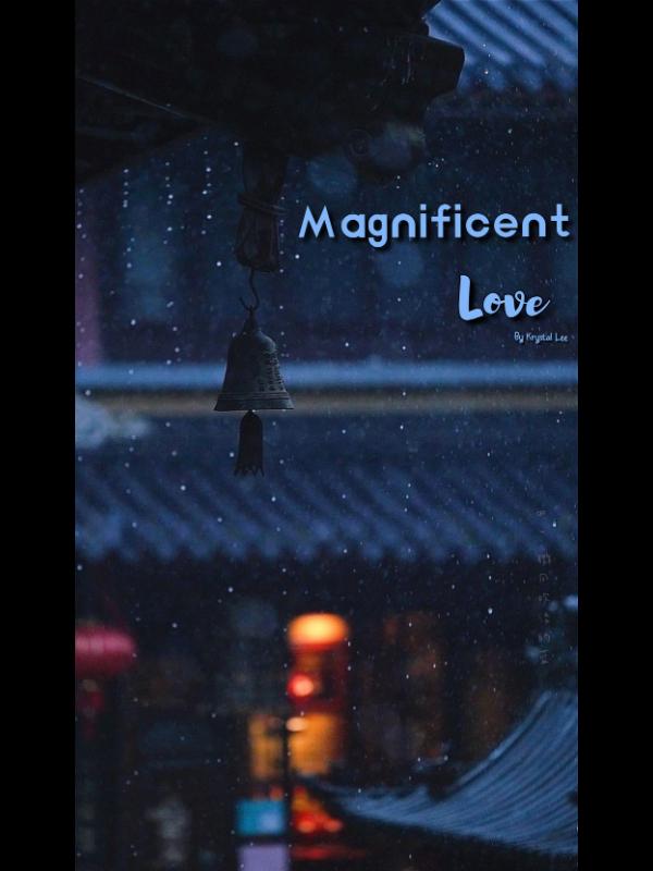 Magnificent Love Book