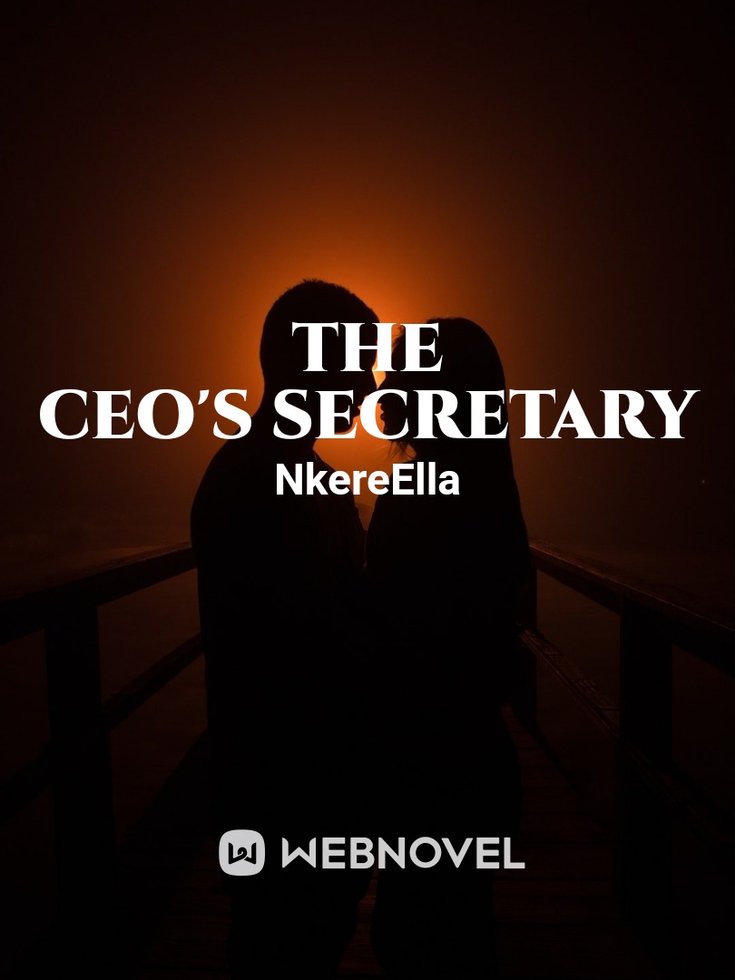 THE CEO'S SECRETARY: Crazy Office Romance. Book