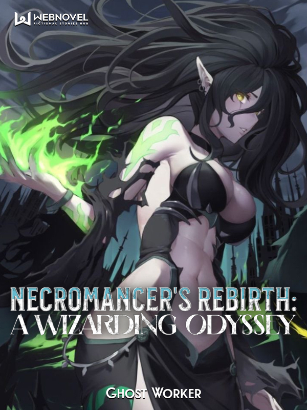 Necromancers Rebirth: A Wizarding Odyssey! Book
