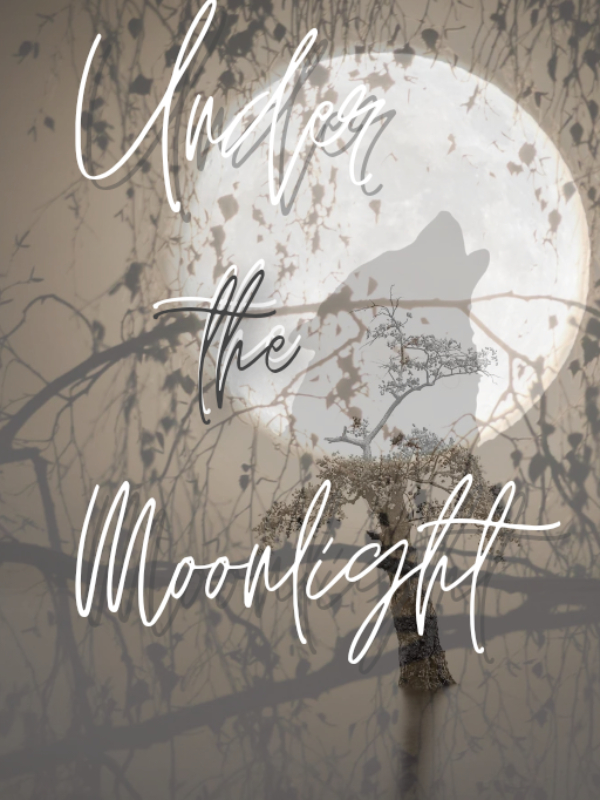 Under the Moonlight(The Reincarnated) Book