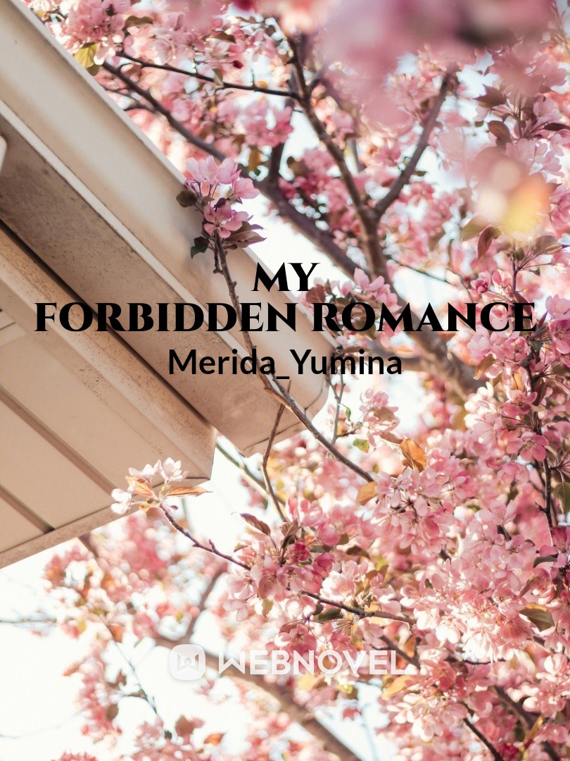 My Forbidden Romance Book