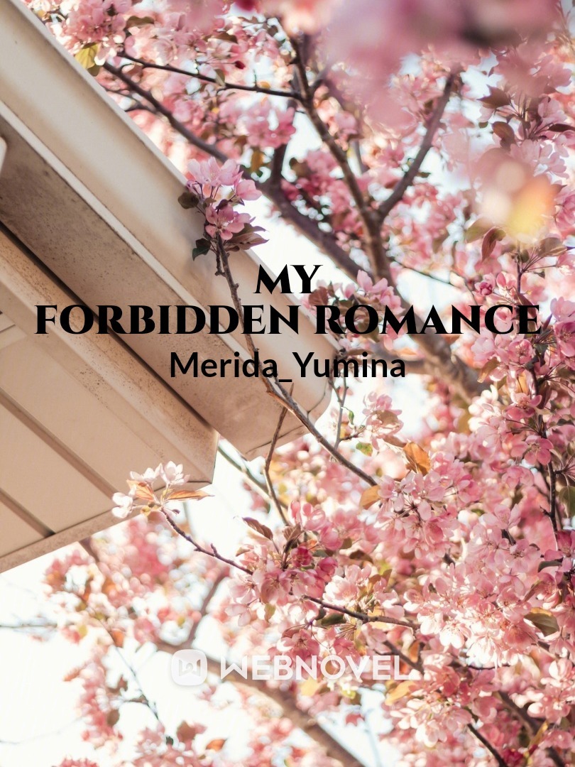 My Forbidden Romance