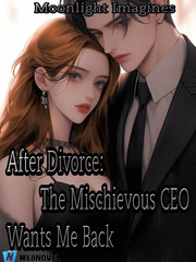 After Divorce: The Mischievous CEO Wants Me Back Book