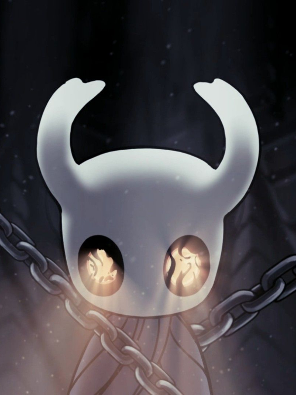 Hollow Knight - DXD Book