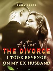 After the Divorce, I Took Revenge on My Ex-husband Book