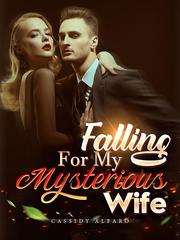 Falling For My Mysterious Wife Book