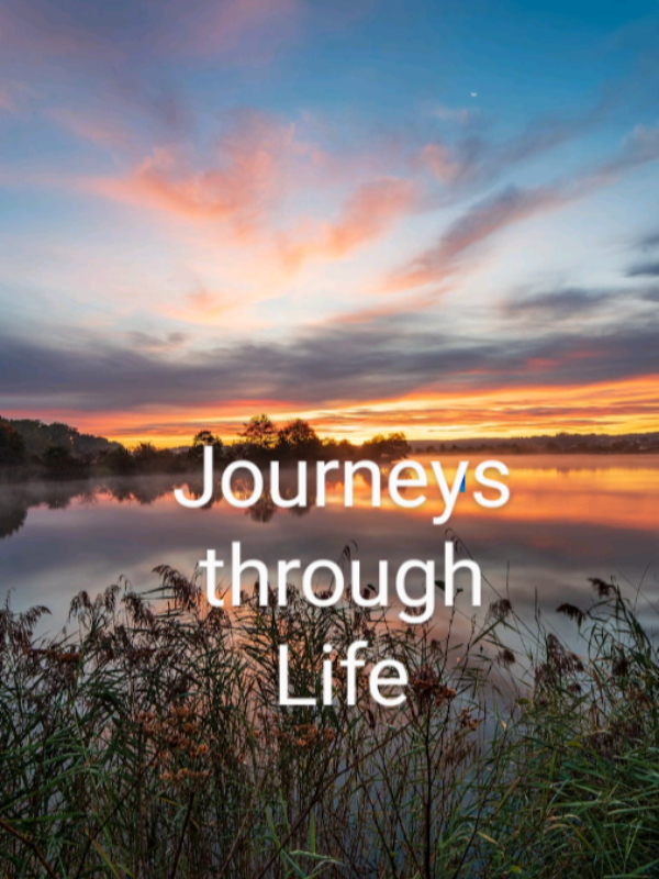 Journeys Through Life Book