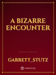 A Bizarre Encounter Book