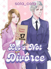 Let's Not Divorce Book