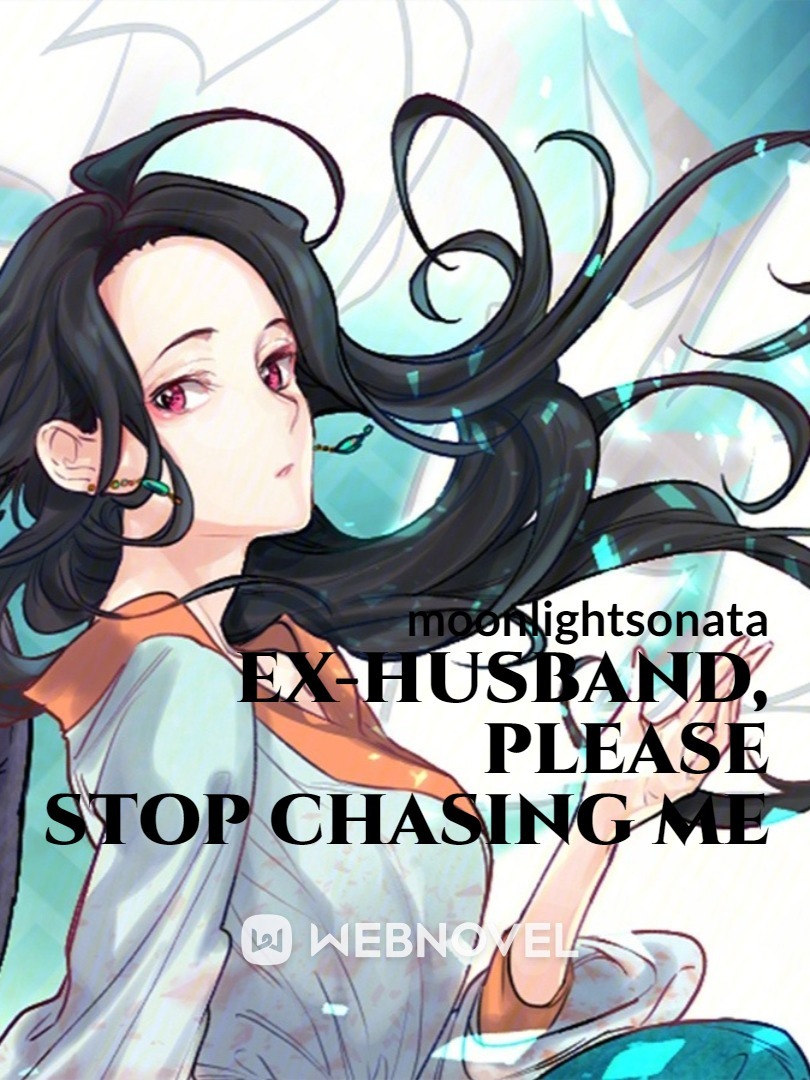 Ex-husband, Please Stop Chasing Me Book