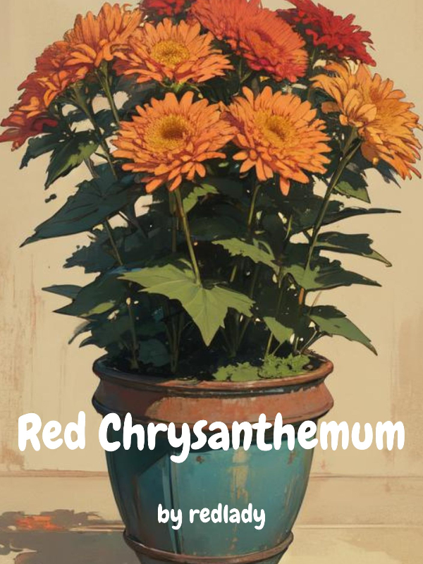 Red Chrysanthemum