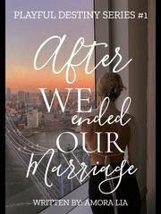 After We Ended Our Marriage Book