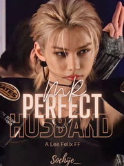 Mr Perfect Husband Book