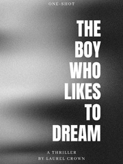 The Boy Who Likes To Dream Book