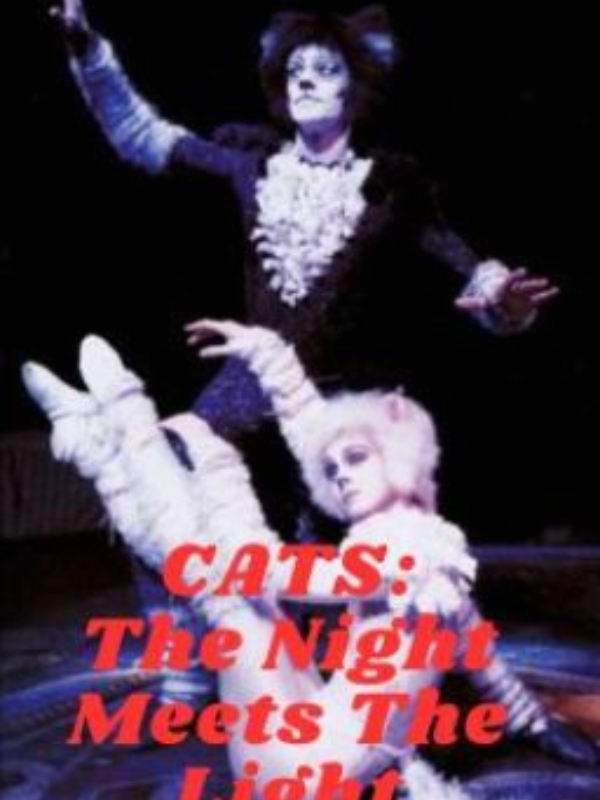 CATS: The Night Meets The Light