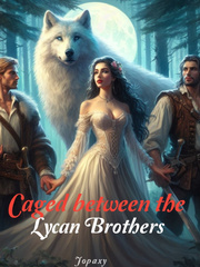Caged Between the Lycan Brothers Book