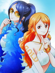 One Piece Beginning Enslave The Celestial Dragons And Rob Nami Robin Book