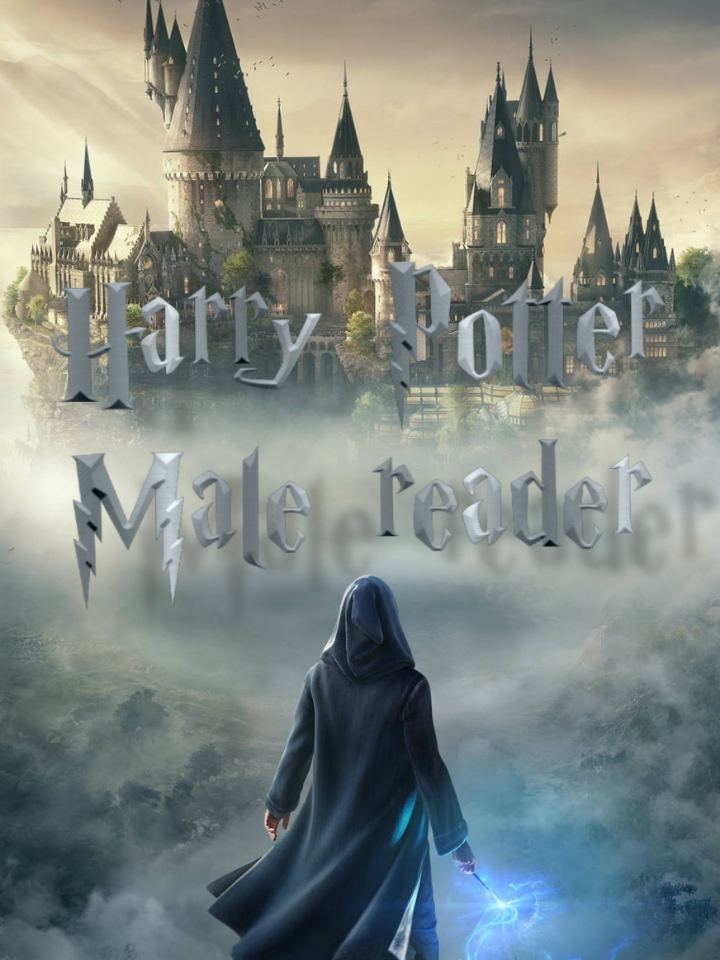 Harry Potter (male reader) Book