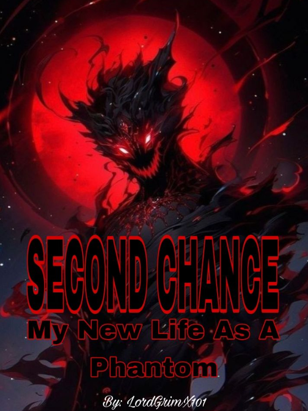 Second Chance: My New Life As A Phantom Book