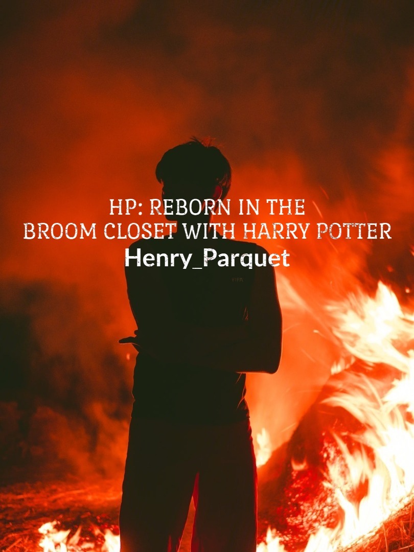 HP: Reborn in the broom closet with Harry Potter