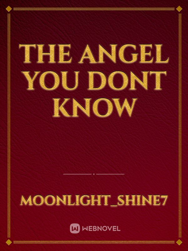 THE ANGEL YOU DONT KNOW Book