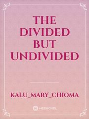 The Divided But Undivided Book