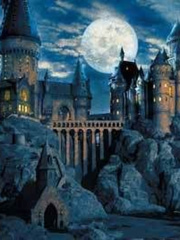 Harry Potter and the Secret Treasures [Translation] Book