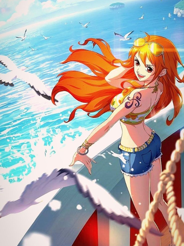 One Piece The Age of Speed Begins With The Robbery Of Nami!