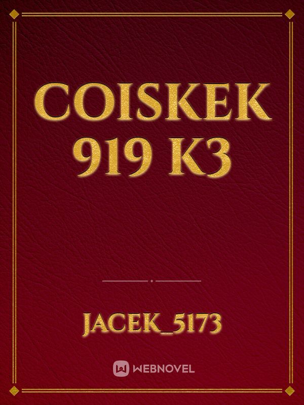 coiskek 919 k3