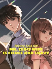 Mr. CEO's wife is fierce and crazy Book