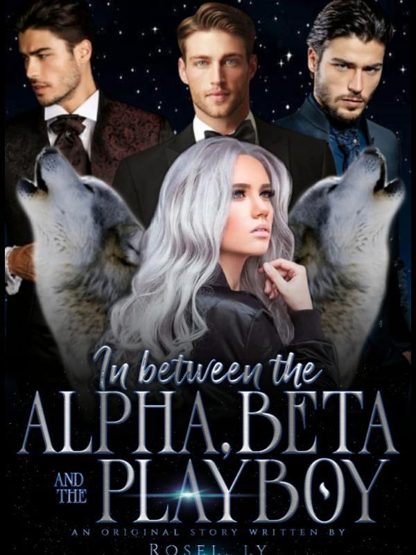 IN BETWEEN THE ALPHA, BETA, AND THE PLAYBOY Book