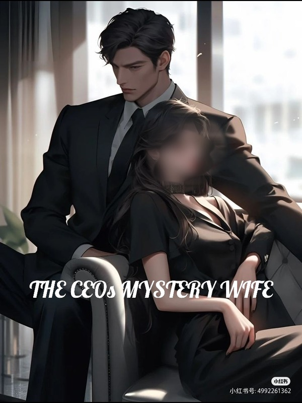 The CEOs Mystery Wife Book