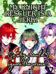 My Knight Rescuer is a Jerk! So Why should I ignore the Prince? Book