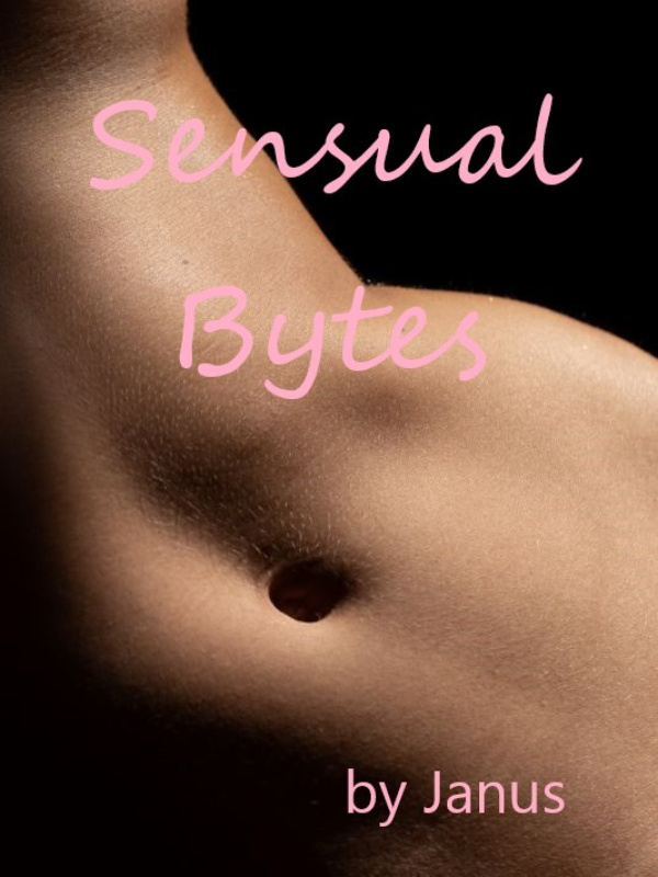 Sensual Bytes Book