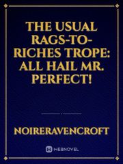 The Usual Rags-to-Riches Trope: All Hail Mr. Perfect! Book