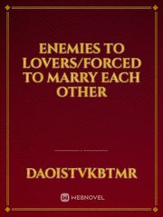 Enemies to lovers/forced to marry each other Book