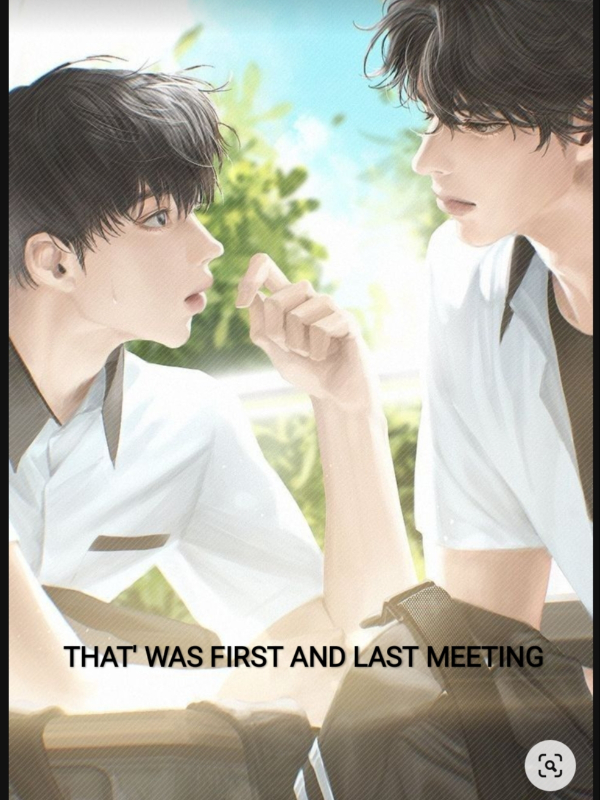 (BL)THAT'S  WAS FIRST AND LAST MEETING(BL) Book