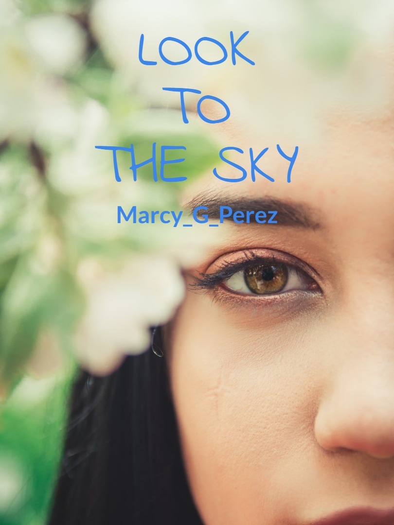 Look to the sky Book