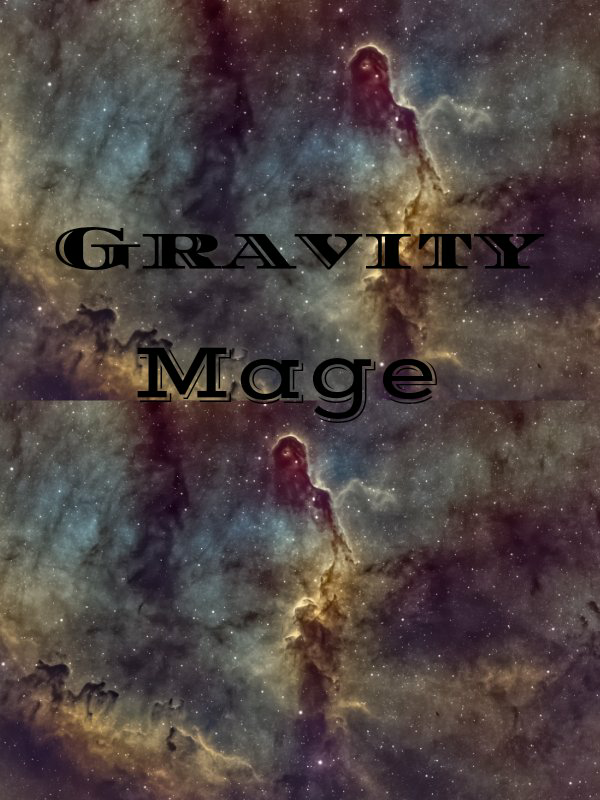 The First Gravity Mage Book