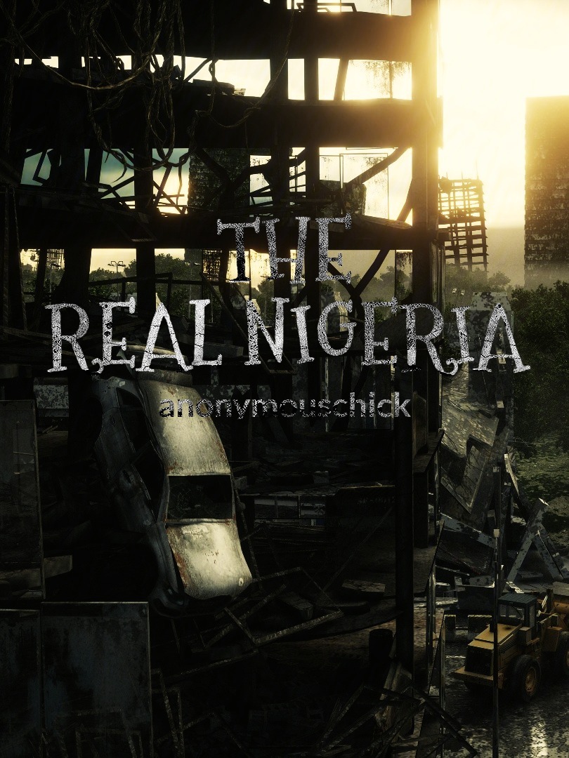 The Real Nigeria Book