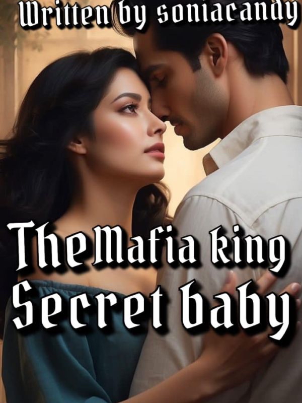 mafia king secret baby Book